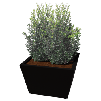 Oceľový kvetináč - Cone - 80 x 80 x 51,5 cm - Zvarený - Iná farba RAL - So spodnou doskou