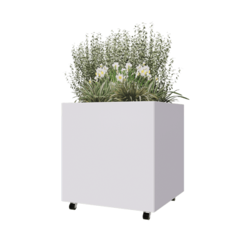 Oceľový kvetináč - Štvorec - 80 x 80 x 80 cm - RAL9010 matný (biela) - So spodnou doskou - S kolieskami