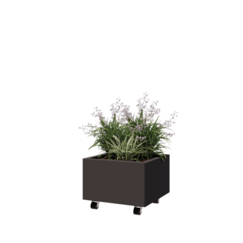 Oceľový kvetináč - Štvorec - 50 x 50 x 30 cm - RAL7016 matný (antracitová sivá) - So spodnou doskou - S kolieskami