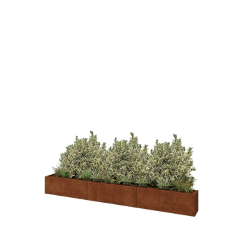 Cortenový kvetináč XXL - Obdĺžnik - 360 x 30 x 40 cm - So spodnou doskou