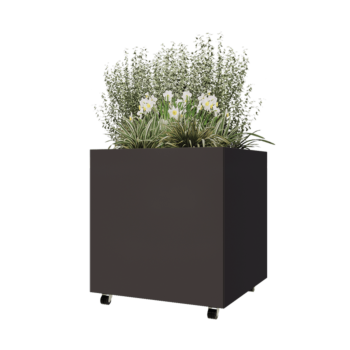 Oceľový kvetináč - Štvorec - 80 x 80 x 80 cm - RAL7016 matný (antracitová sivá) - So spodnou doskou - S kolieskami