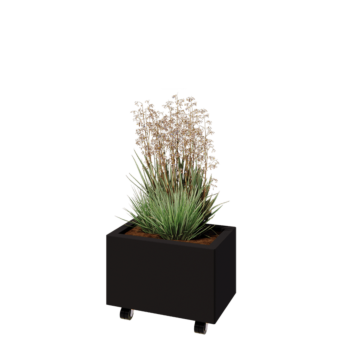 Oceľový kvetináč - Obdĺžnik - 50 x 30 x 30 cm - RAL9005 matný (čierny) - So spodnou doskou - S kolieskami