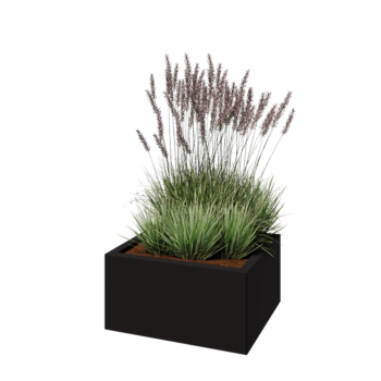 Oceľový kvetináč - Obdĺžnik - 60 x 50 x 30 cm - RAL9005 matný (čierny) - So spodnou doskou