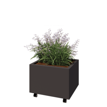 Oceľový kvetináč - Obdĺžnik - 60 x 50 x 40 cm - RAL7016 matný (antracitová sivá) - So spodnou doskou - S kolieskami