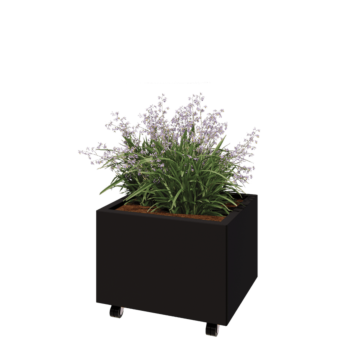 Oceľový kvetináč - Obdĺžnik - 60 x 50 x 40 cm - RAL9005 matný (čierny) - So spodnou doskou - S kolieskami