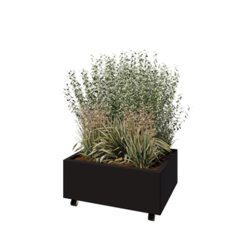 Oceľový kvetináč - Obdĺžnik - 80 x 60 x 30 cm - RAL9005 matný (čierny) - So spodnou doskou - S kolieskami