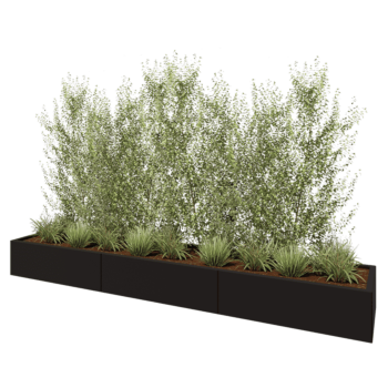 Oceľový kvetináč XXL - Obdĺžnik - 300 x 50 x 30 cm - RAL9005 matný (čierny) - So spodnou doskou