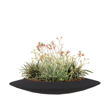 Kvetináč zo sklolaminátu - Misa - Ø 120 x 20 cm - RAL7021 matná (čierna sivá) - S dnom