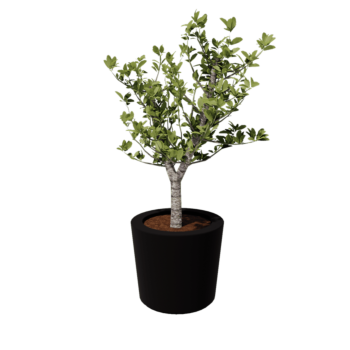 Kvetináč zo sklolaminátu - Kužeľovitý - Ø 63 x 52 cm - RAL9005 matná (čierna) - S dnom