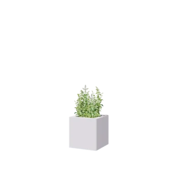 Oceľový kvetináč - Štvorec - 30 x 30 x 30 cm - RAL9010 matný (biela) - So spodnou doskou