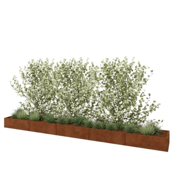 Cortenový kvetináč XXL - Obdĺžnik - 500 x 60 x 30 cm - So spodnou doskou
