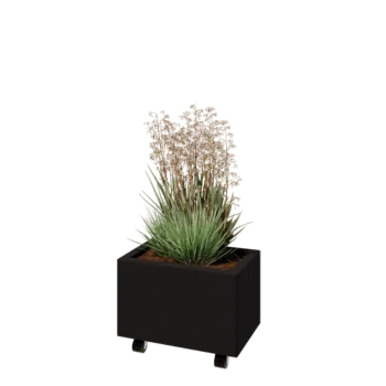 Oceľový kvetináč - Obdĺžnik - 50 x 30 x 30 cm - RAL9005 matný (čierny) - So spodnou doskou - S kolieskami