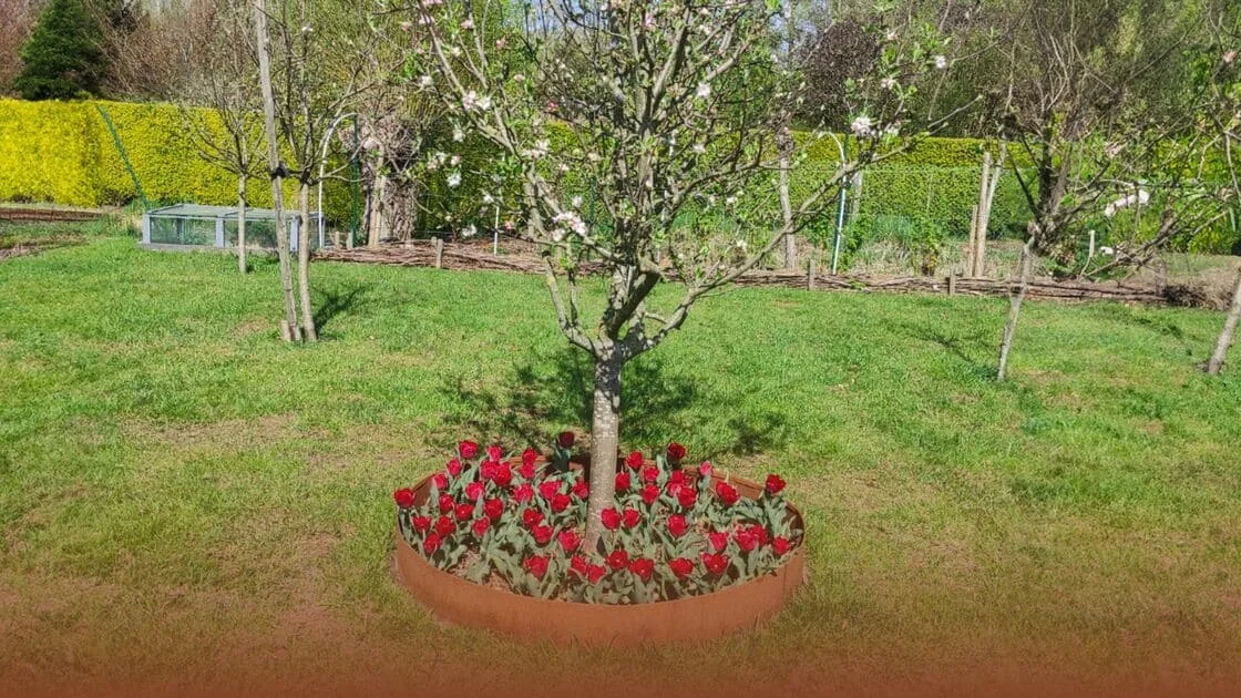 Ako urobiť obrubu okolo stromu?