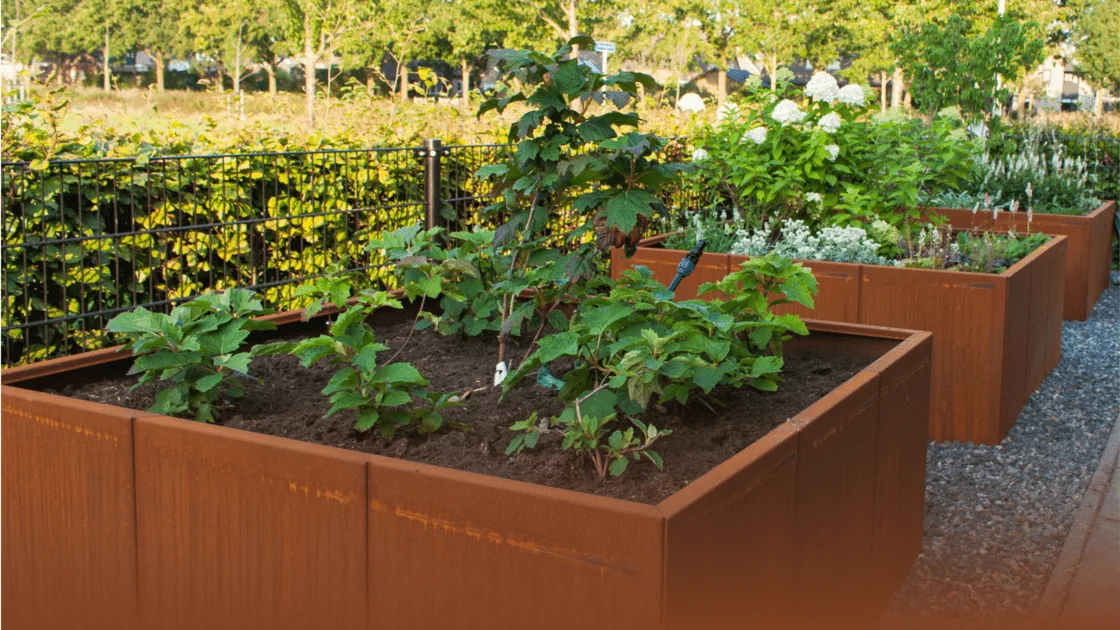 Cortenová oceľ Sprievodca: všetko, čo o tomto materiáli chcete vedieť