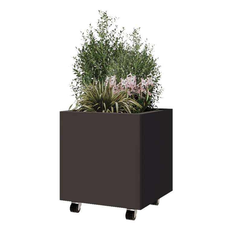 PBPCMI500x500x500RAL7016BW-with_plants_1